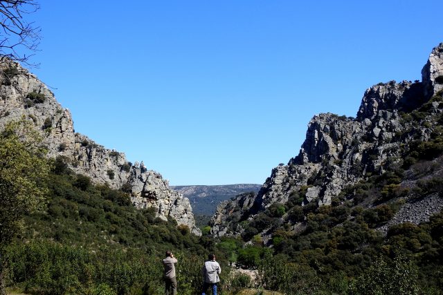Como empezar a mejor tu bienestar emocional (aunque no sepas por dónde empezar)